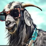 groovy goats