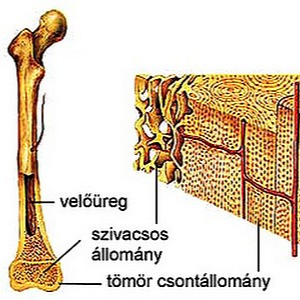 cigányság ináncsban