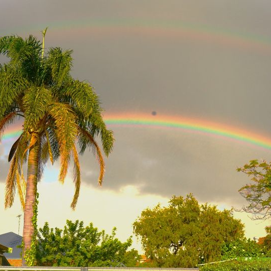 Multitudes of Rainbows