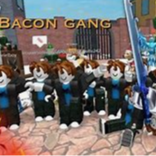 Bacon Gang