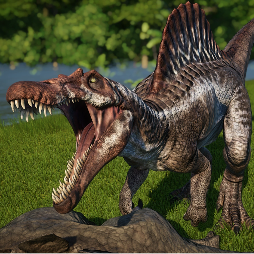 Spinosaurus Groove