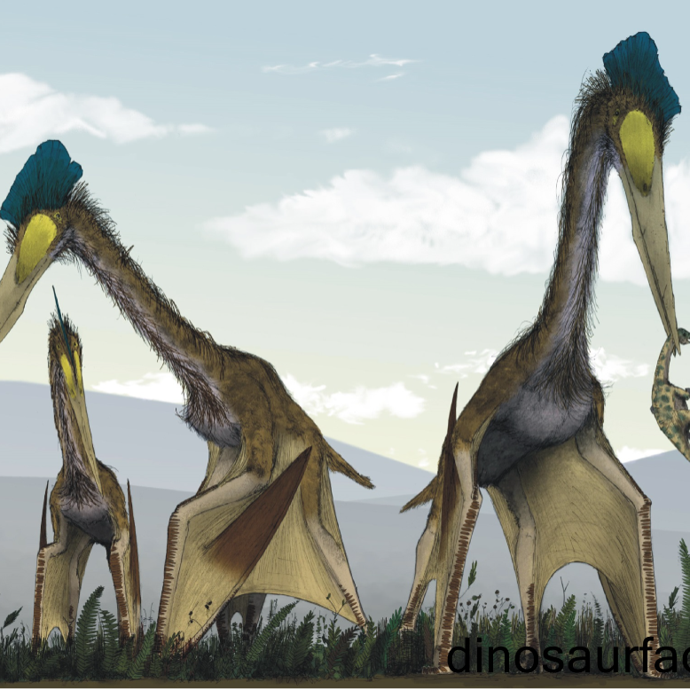 Flight of Quetzalcoatlus