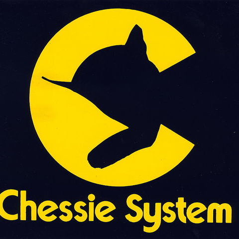 The Chessie System: The Tale of the Chesapeake and Ohio Railroad