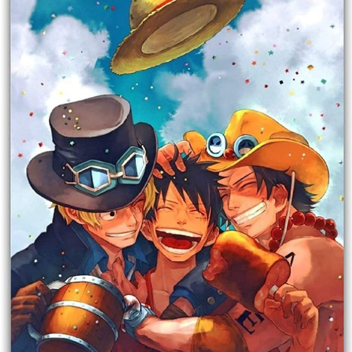 Ace ,Sabo et Luffy 