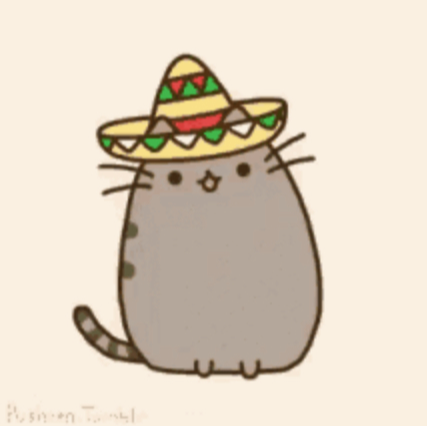 Mexican cat wants me ^-^