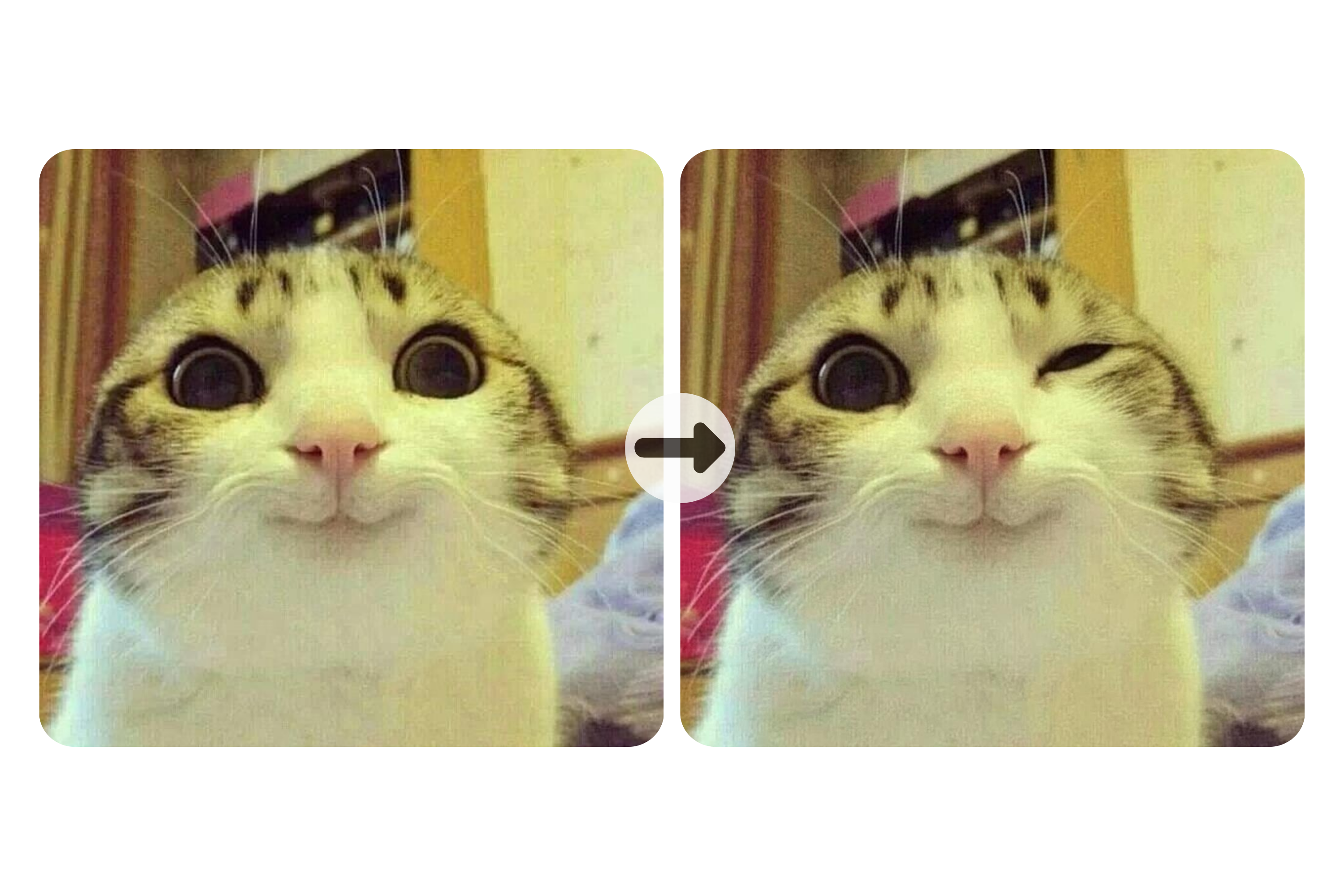 Make Photo Wink Online for Free