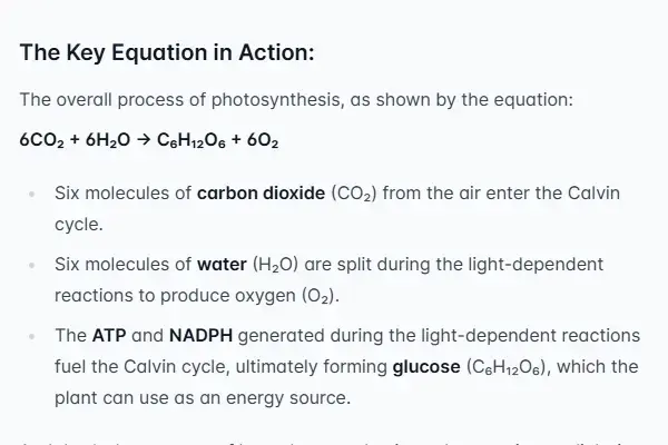 Explaining Photosynthesis Step-by-Step with Online Biology GPT