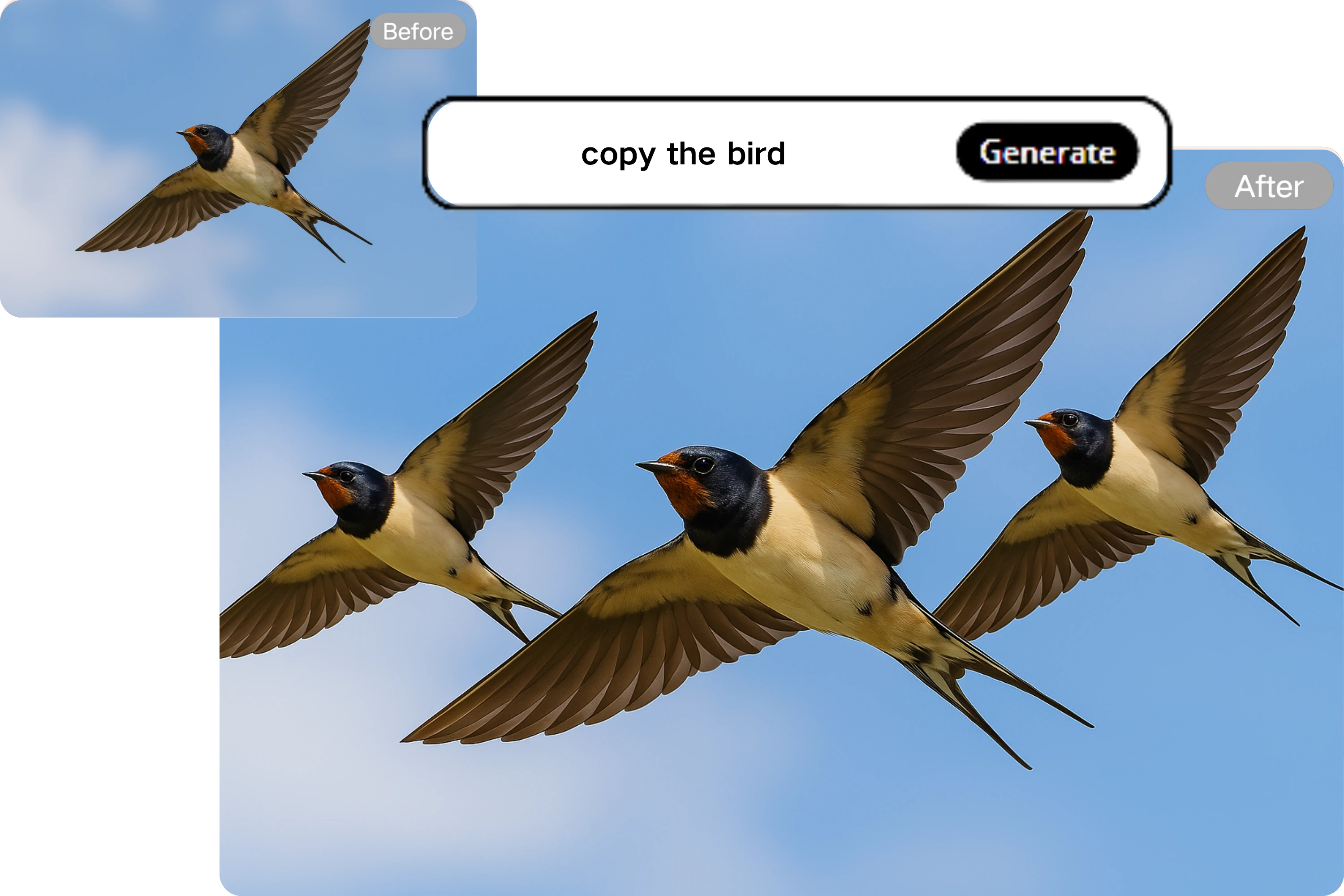 Consistent Texture Duplication