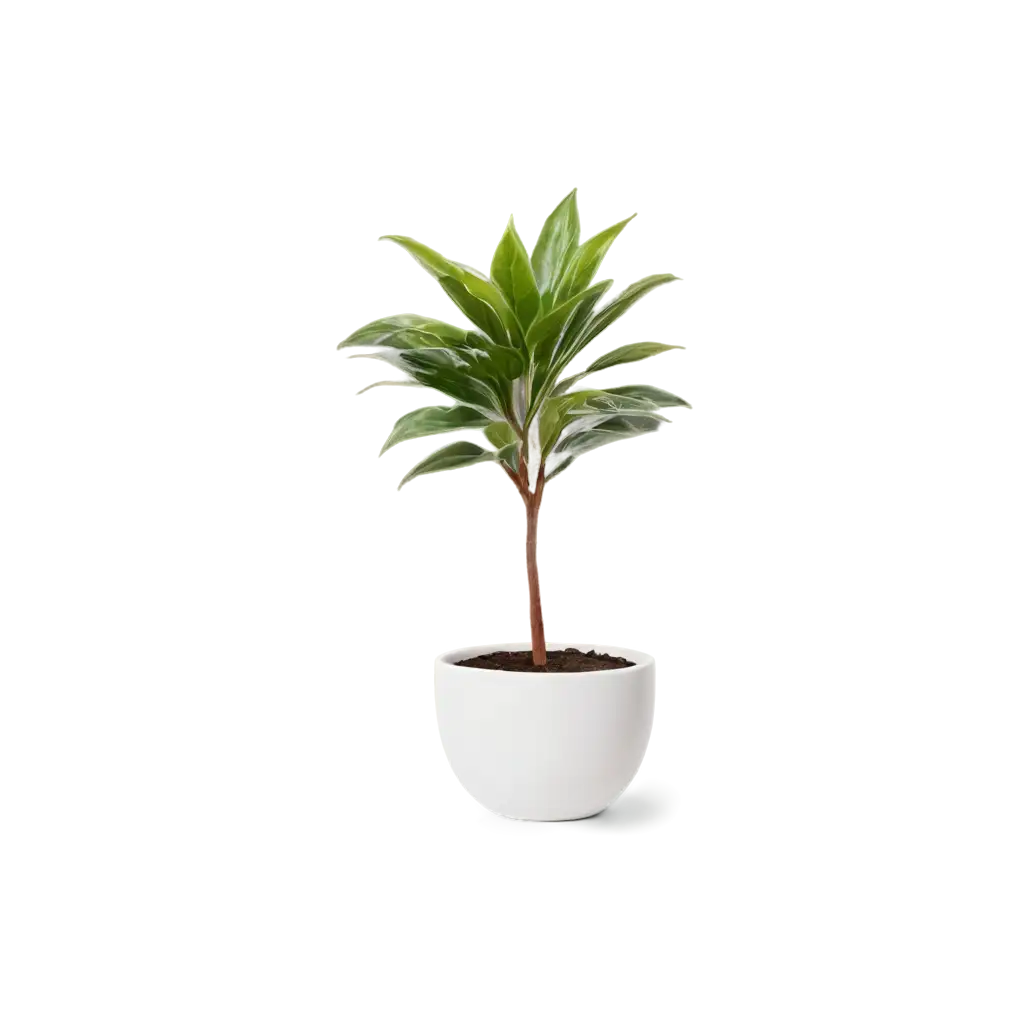 HealthyPNG-Image-Usage-Analysis-Green-Houseplant-PNG-in-White-Ceramic-Pot-Minimalist-Studio-Style-Image