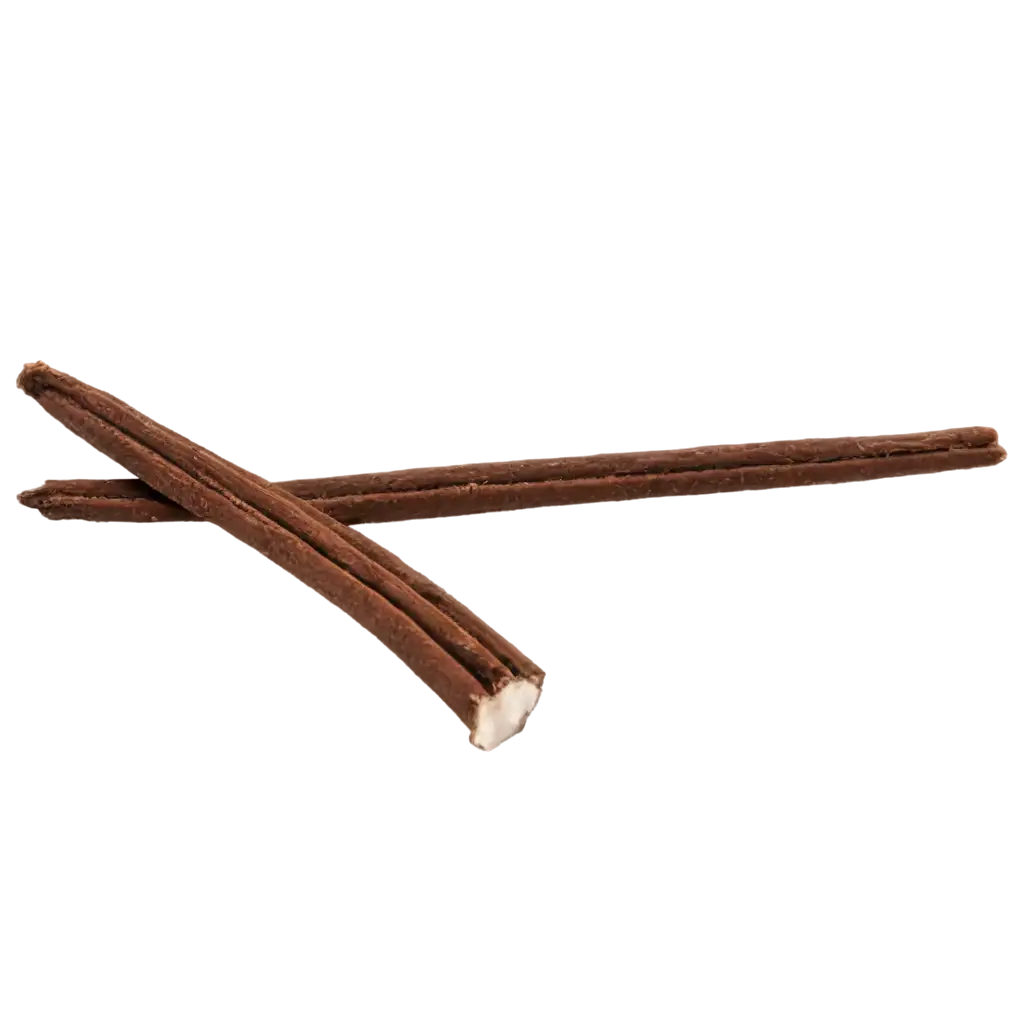 HighQuality-PNG-Image-of-Vanilla-Bean-for-Culinary-and-Artistic-Use