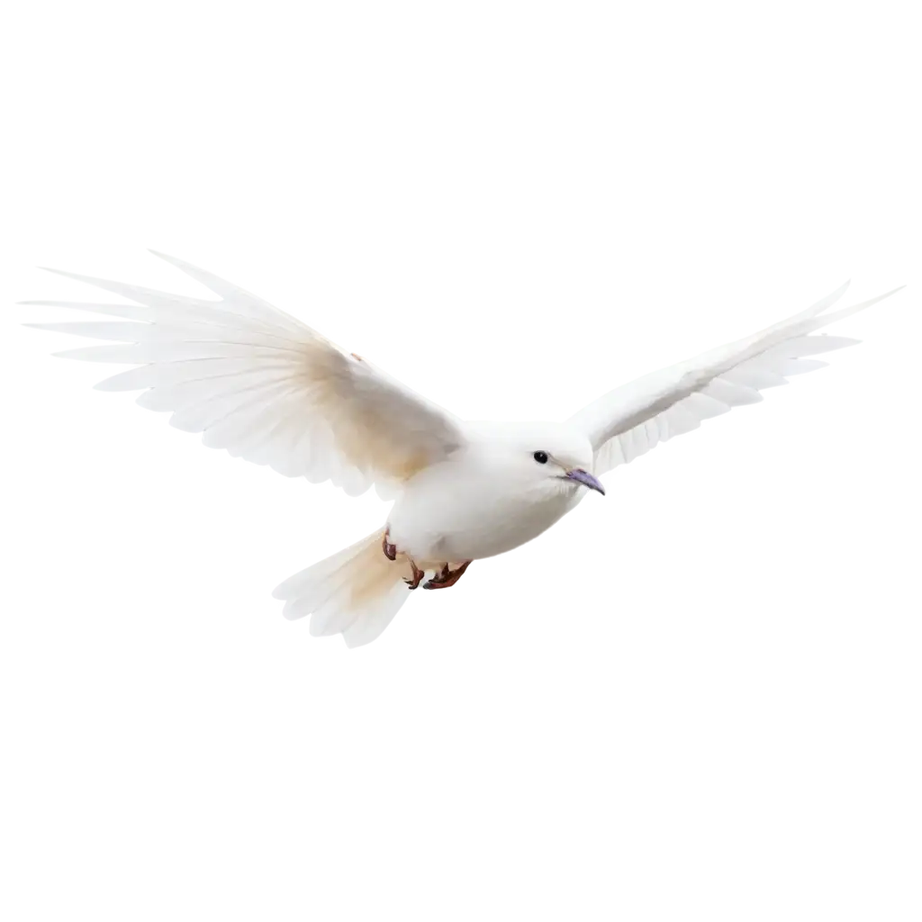 Stunning-White-Bird-Fly-PNG-for-HighQuality-Image-Use