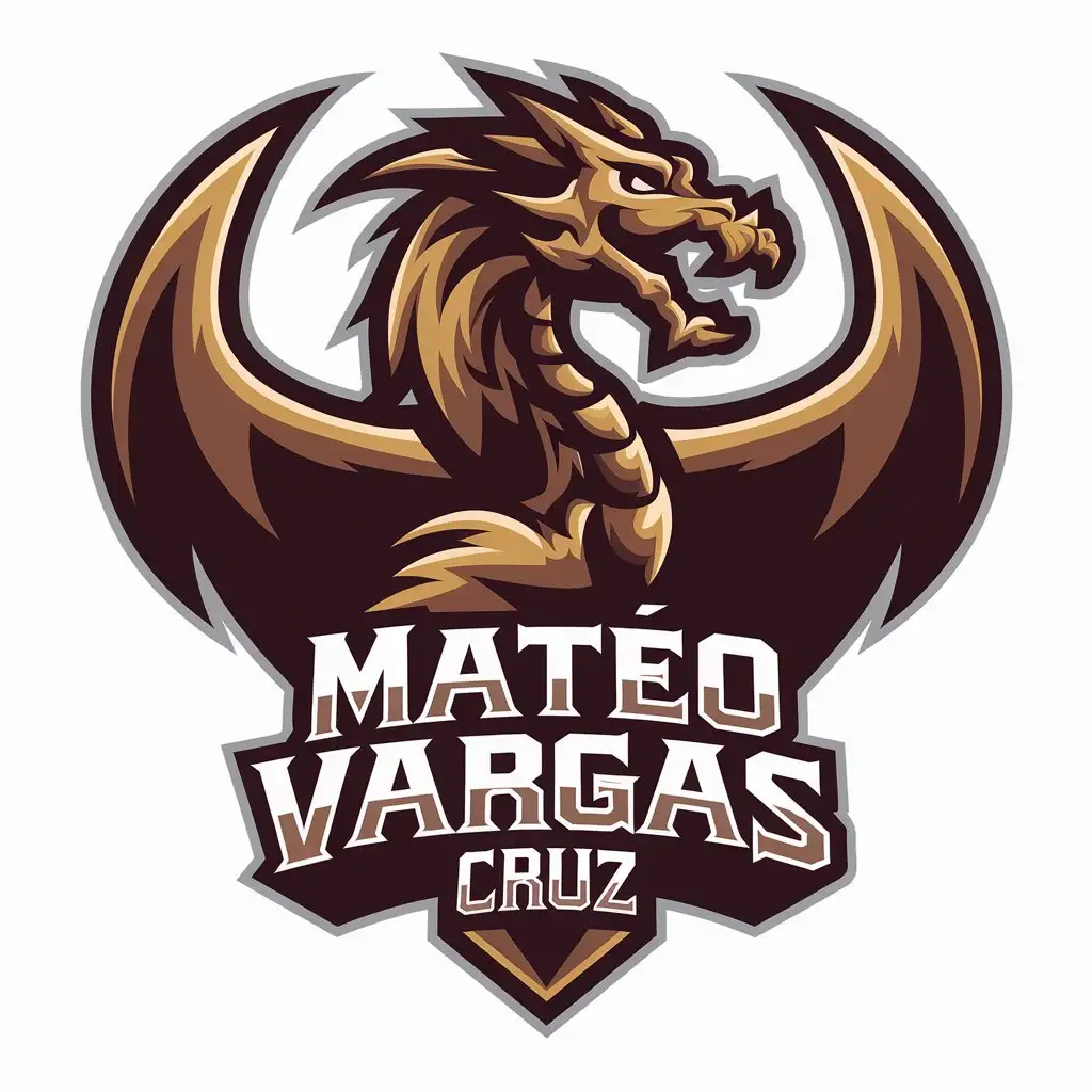 LOGO Design for Mateo Vargas Cruz Dragon Symbol with Moderado Style for Otros Industry