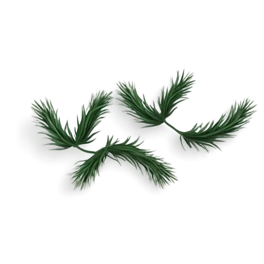 Music-Player-Icon-in-PNG-Format-Inspired-by-Listening-to-the-Sound-of-a-Thousand-Mountains-and-Pines-and-Listen-to-the-Cold-Wind-of-Pine-Trees