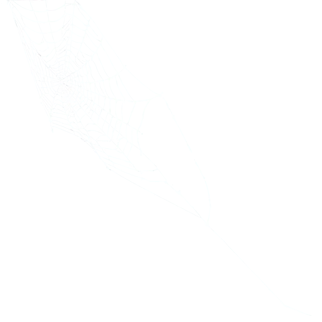 HighQuality-Spiderweb-PNG-Image-for-Versatile-Digital-Applications