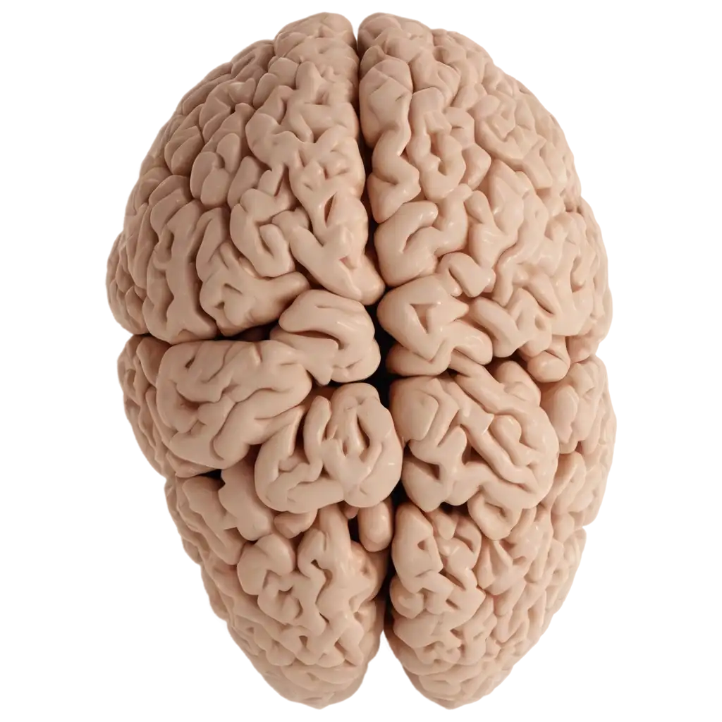 Human-Brain-PNG-A-HighQuality-Image-for-Neuroscience-and-Educational-Use