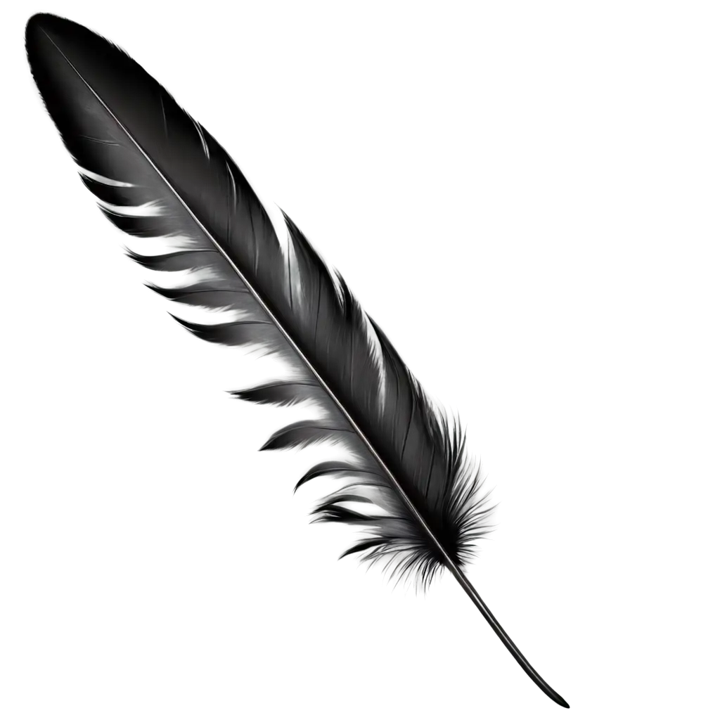 Realistic-Black-Feather-PNG-Image-Capturing-Detail-and-Depth