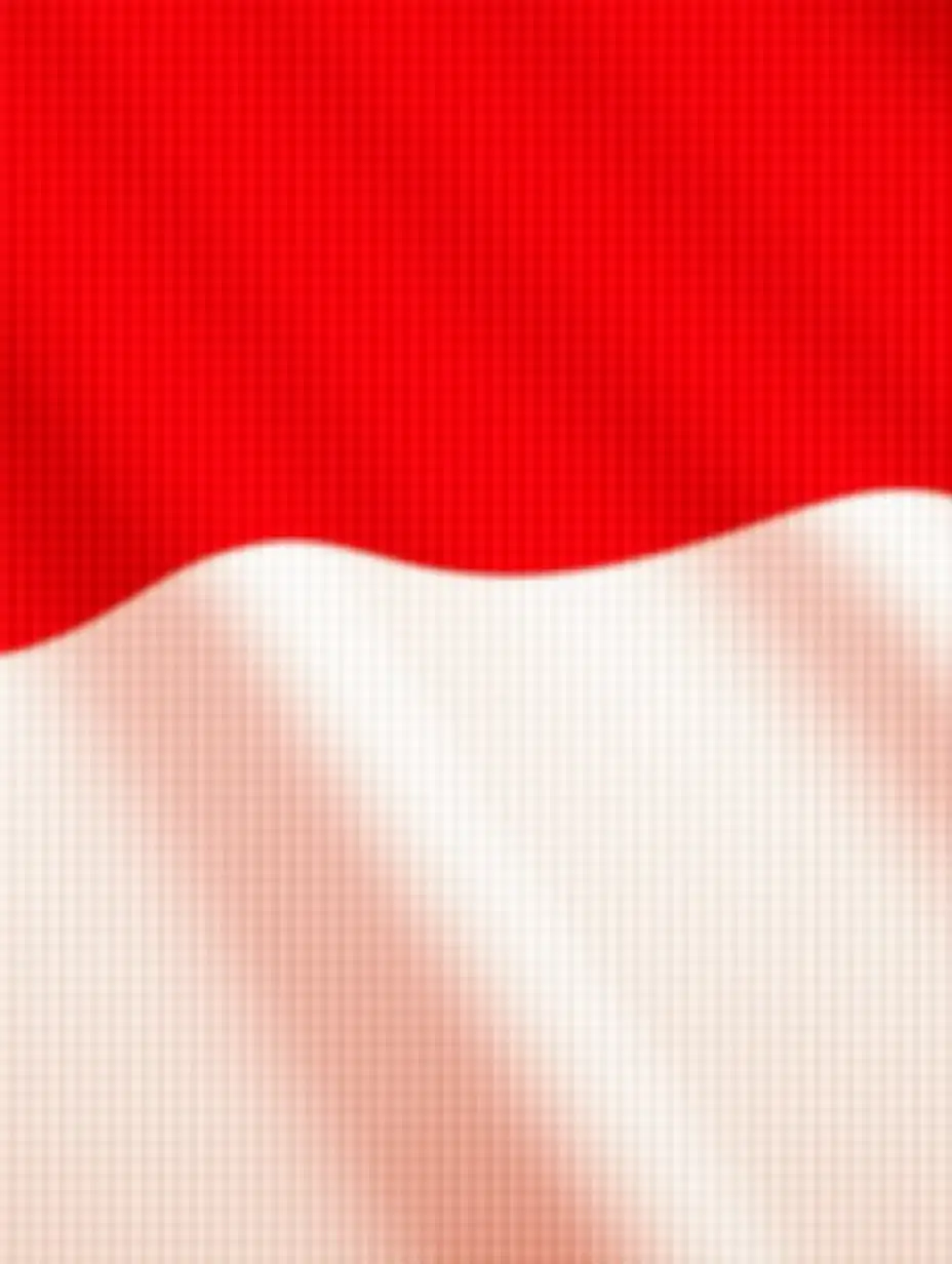 Background of the red and white Indonesian flag