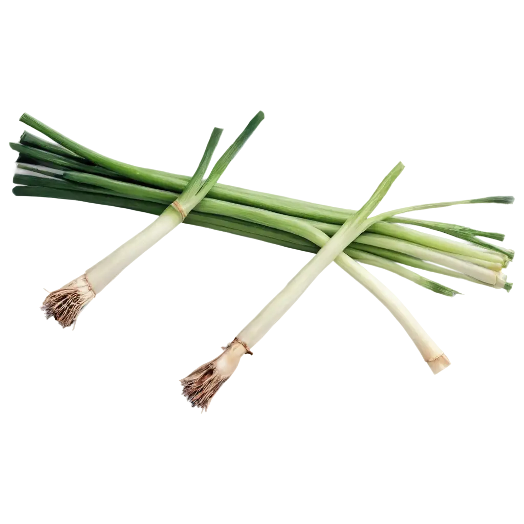 HighQuality-Spring-Onion-PNG-Image-for-Culinary-and-Design-Use