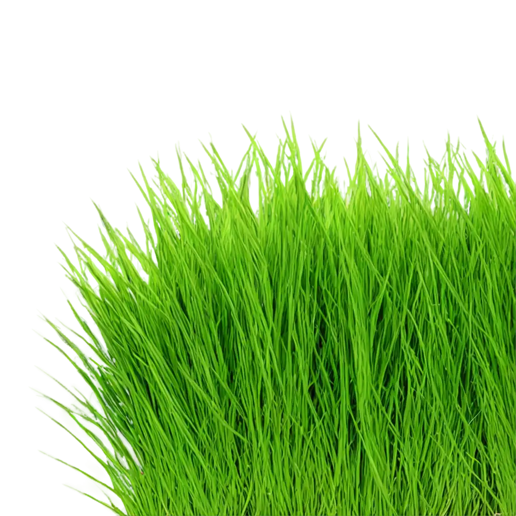 HighQuality-Grass-PNG-ImagePNG-Image-Usage-Scenarios-for-Various-Applications