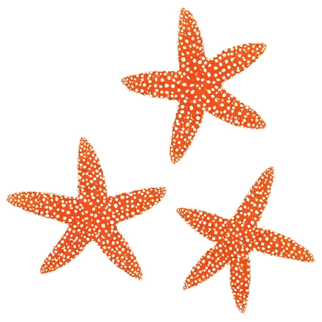 flat sea star for logo