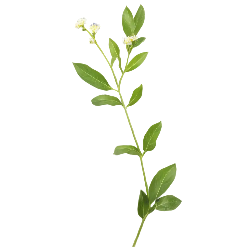 1 stem with leaves and flowers