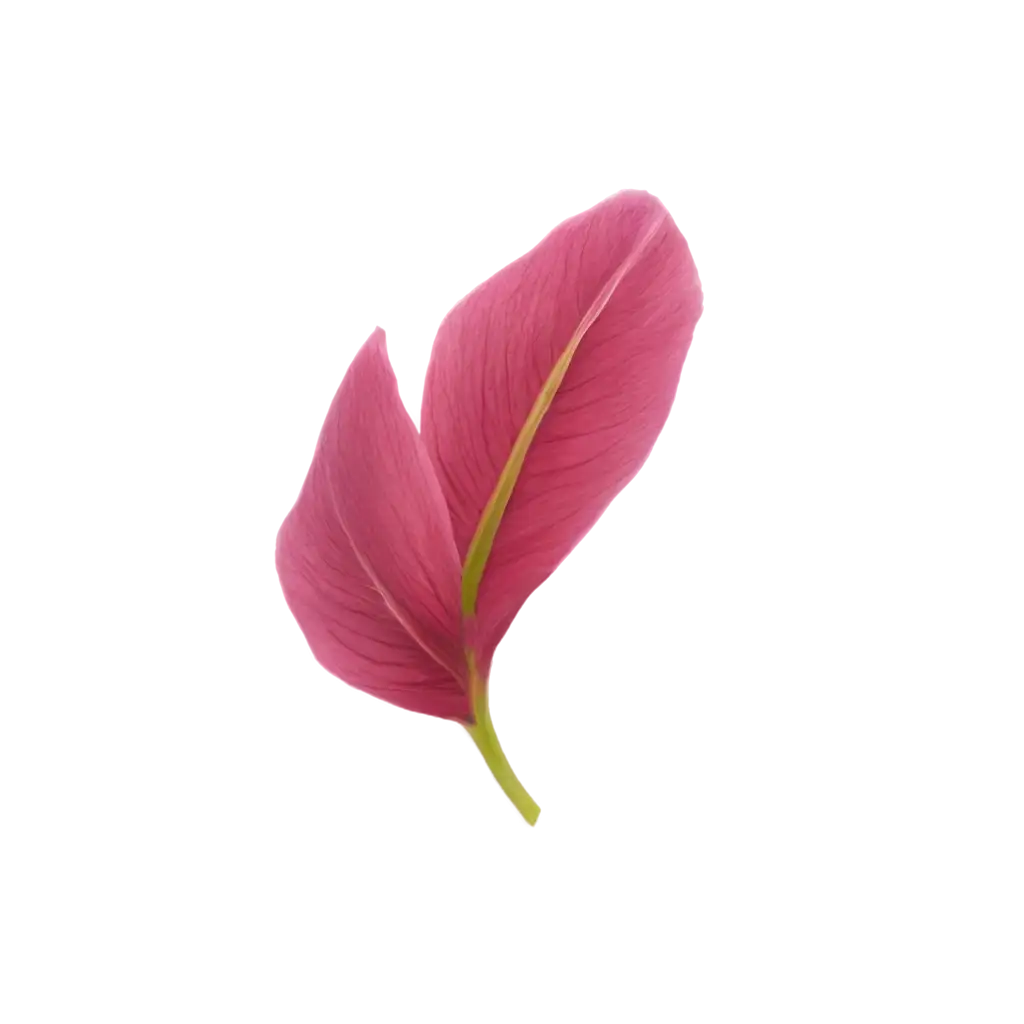 Tropical-Flower-Petal-PNG-Image-HighQuality-Transparent-Background-for-Creative-Projects