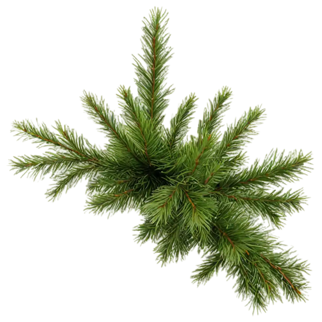 fluffy Christmas tree branch