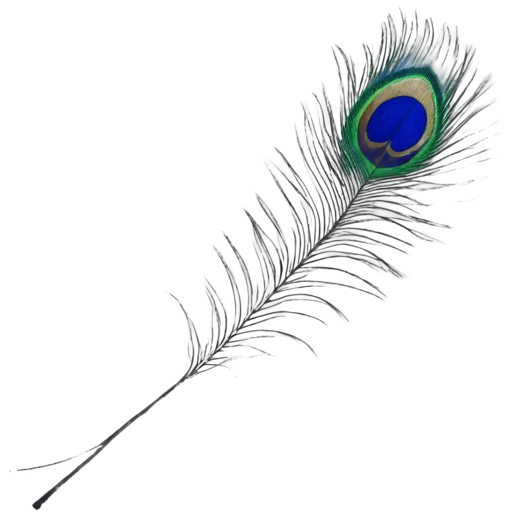 Unique-PNG-Image-of-a-Single-Peacock-Feather-HighQuality-Artistry-and-Detail