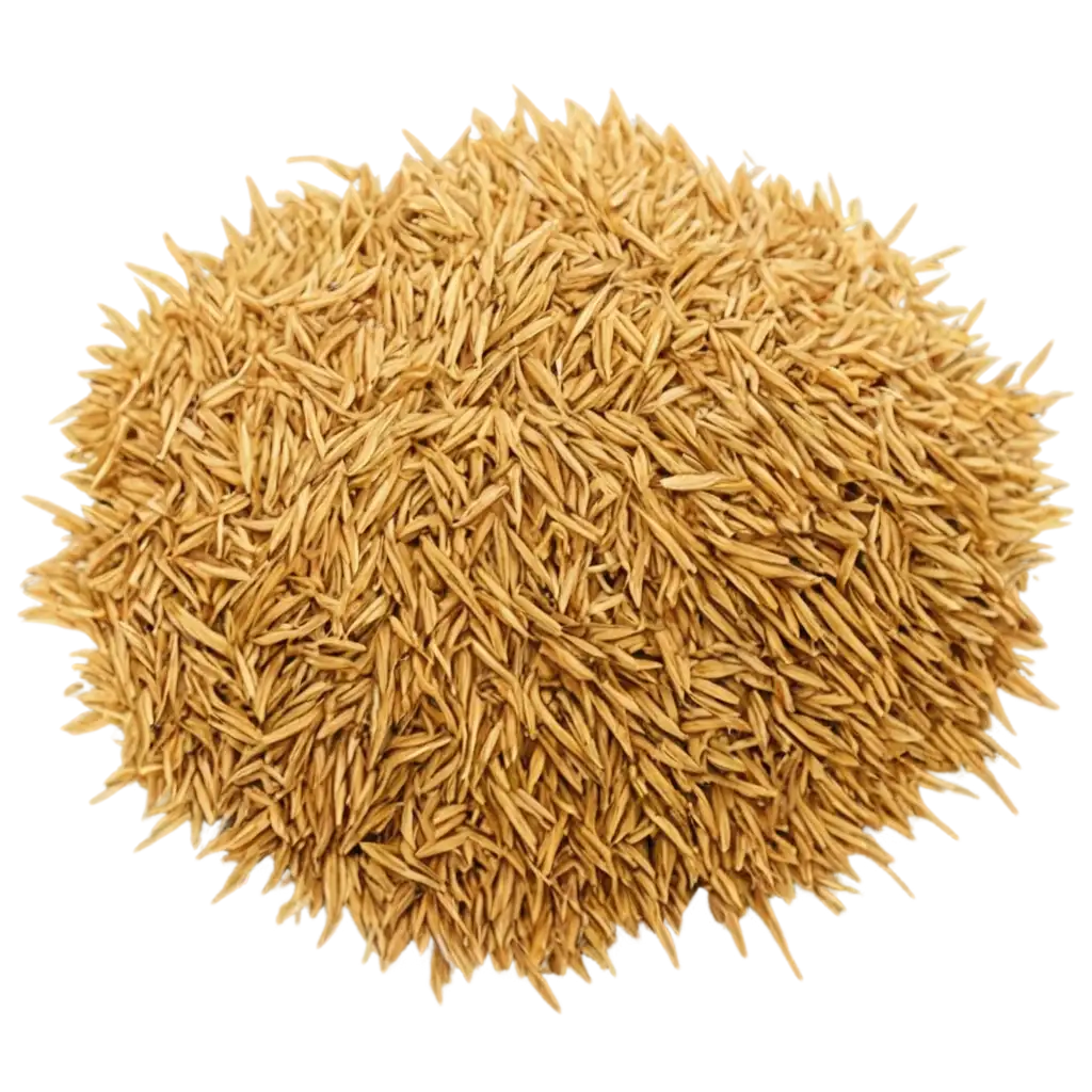 HighQuality-Rice-Husk-PNG-Image-for-Versatile-Design-Applications