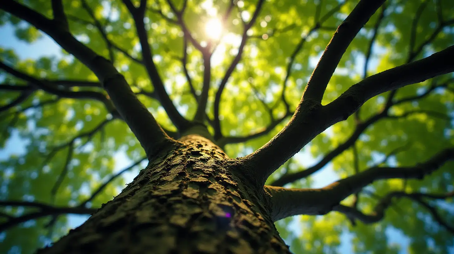 Detailed Extreme CloseUp of Tree Branches in Natural Setting