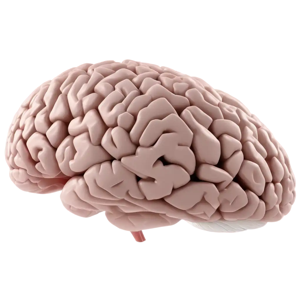 HighQuality-Brain-PNG-Image-for-Diverse-Applications