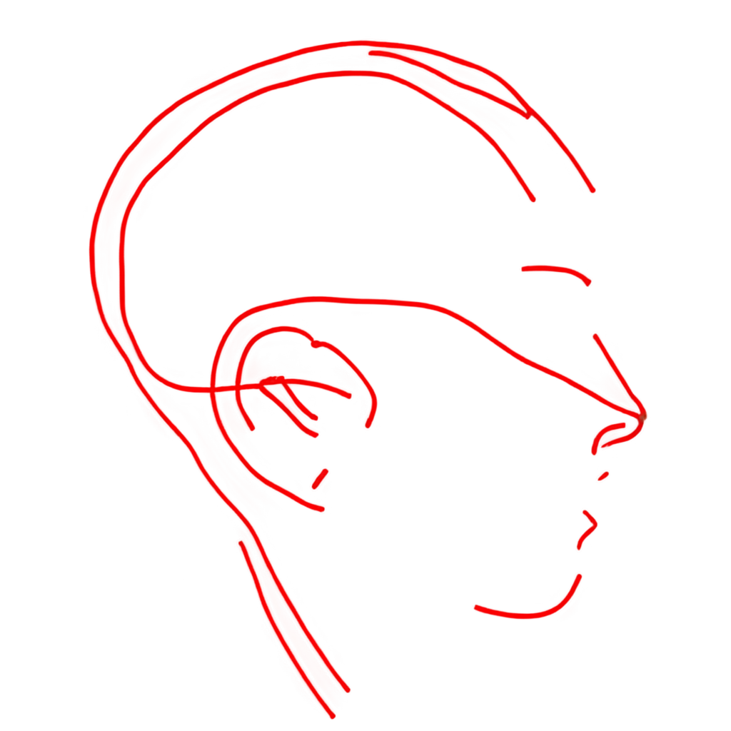 an image of a human head designed with red lines combined together and parallel organized lines