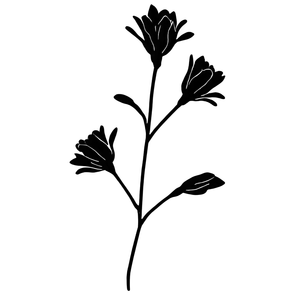Flower-Shadow-PNG-Capturing-Elegant-Floral-Silhouettes-in-HighQuality-Format