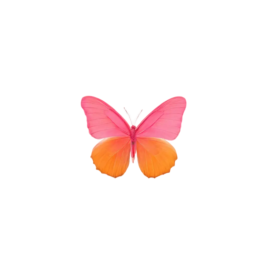 Vibrant-PinkOrange-Butterfly-PNG-Image-for-Stunning-Visual-Creations