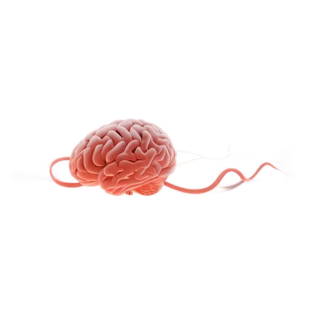 HighQuality-PNG-Image-Representing-Brain-Function-for-Various-Applications