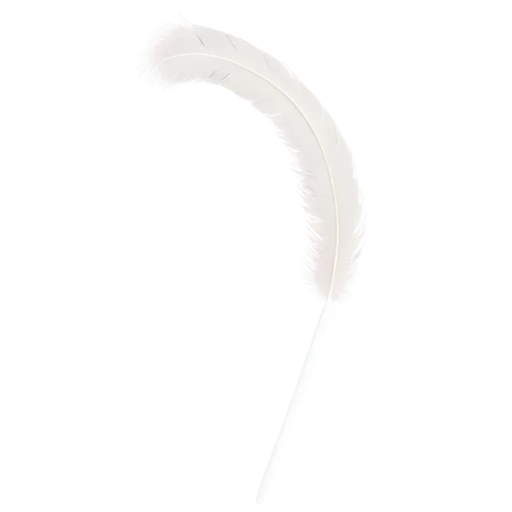 Elegant-White-Curved-Feather-Pen-PNG-Image-Enhance-Your-Design-Projects