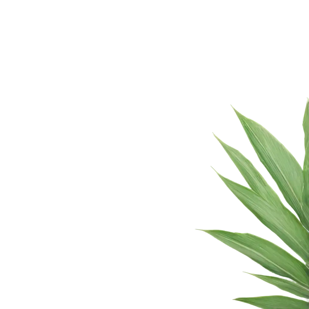 Exquisite-Palm-Leaves-PNG-Image-Enhance-Your-Designs-with-Clear-Detail