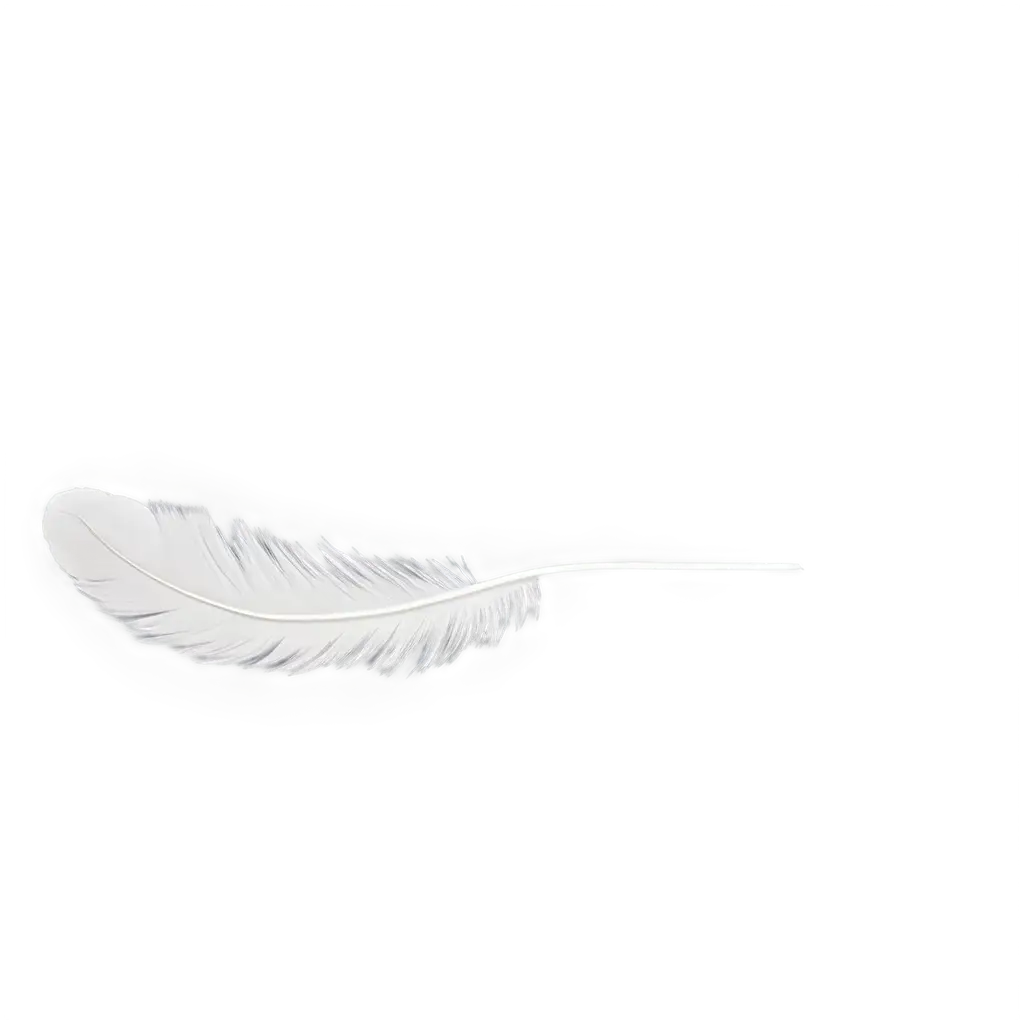 Little-White-Floating-Feather-PNG-HighQuality-Transparent-Image-for-Versatile-Use