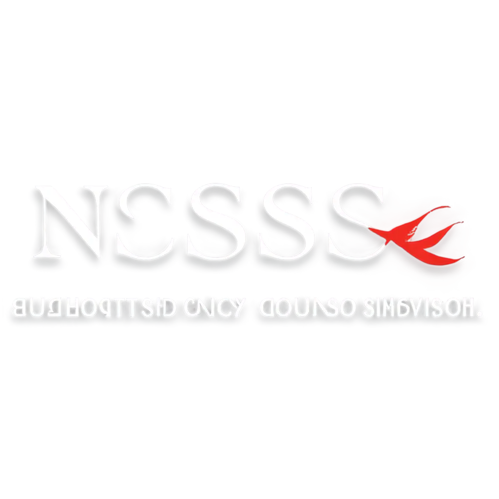 NSS-Logo-PNG-HighQuality-Graphics-for-Versatile-Use