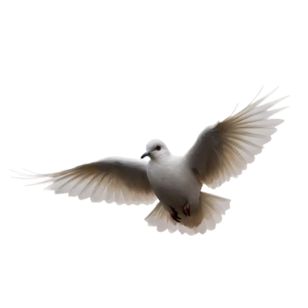 Stunning-Dove-PNG-Image-Symbol-of-Peace-and-Purity