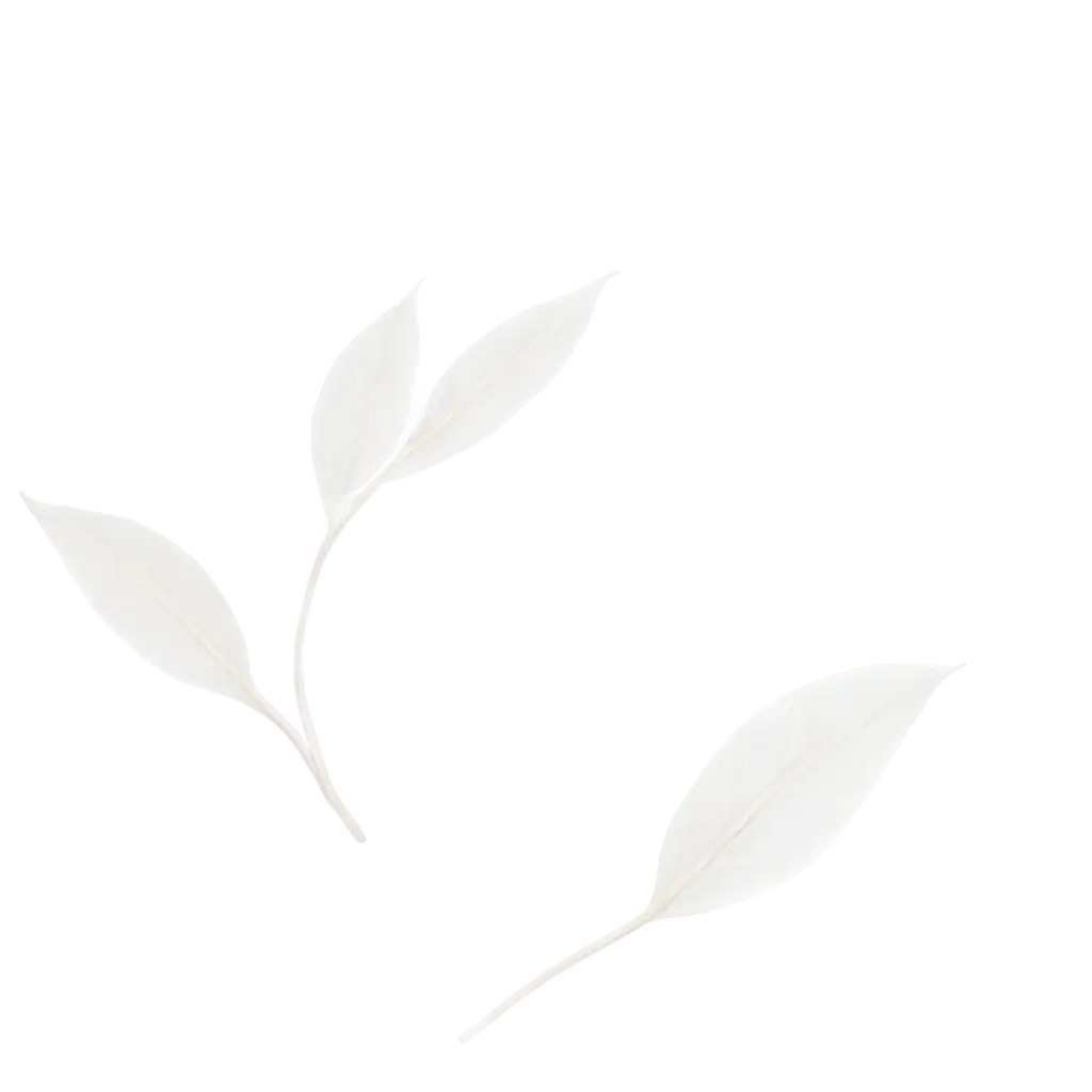 White-Leaves-PNG-Tranquil-Nature-Art-for-Digital-Projects