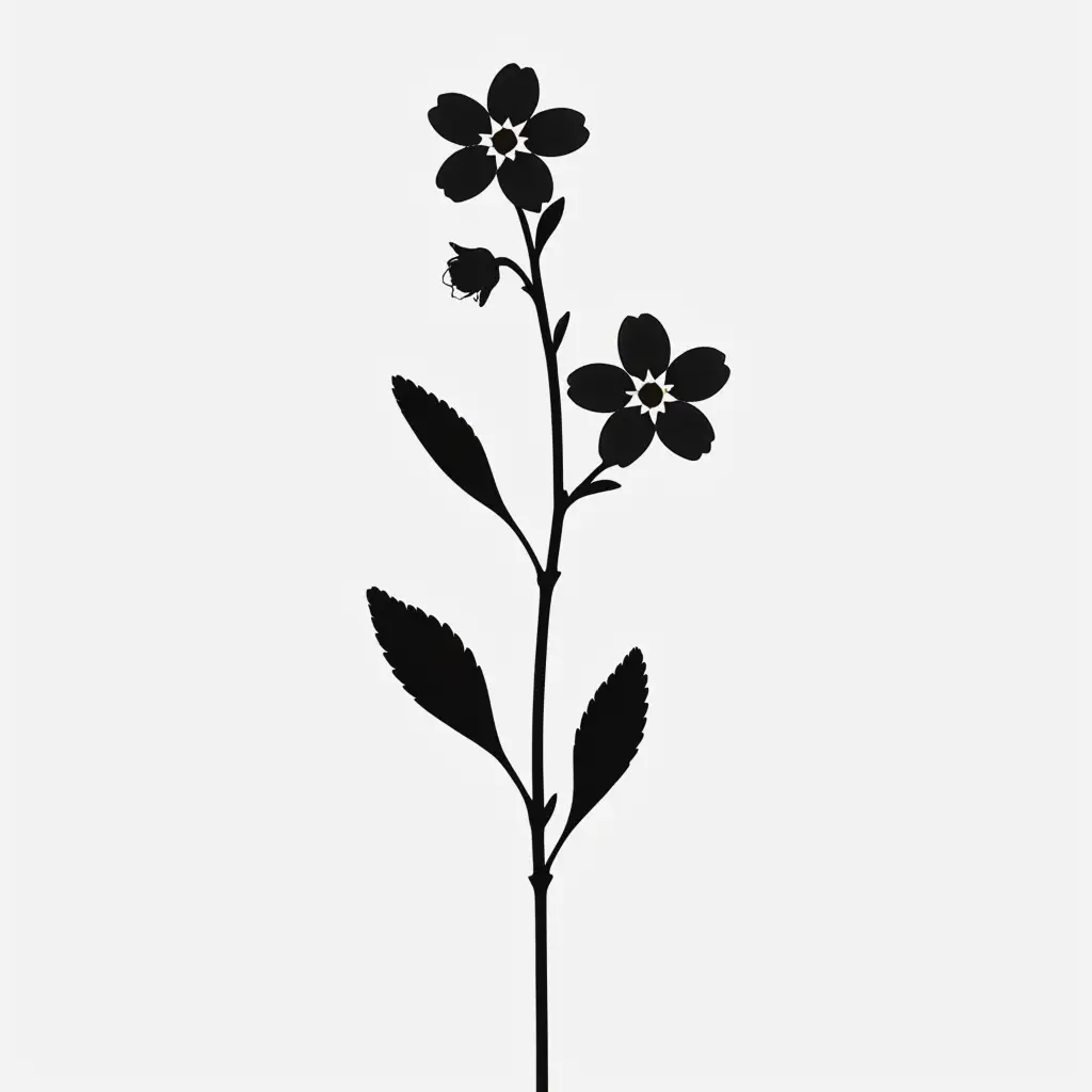 Single Forget-me-not flower silhouette, black, white background