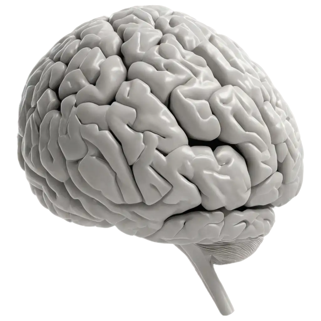 Brain-PNG-Image-for-Enhanced-Visual-Clarity-and-Detail