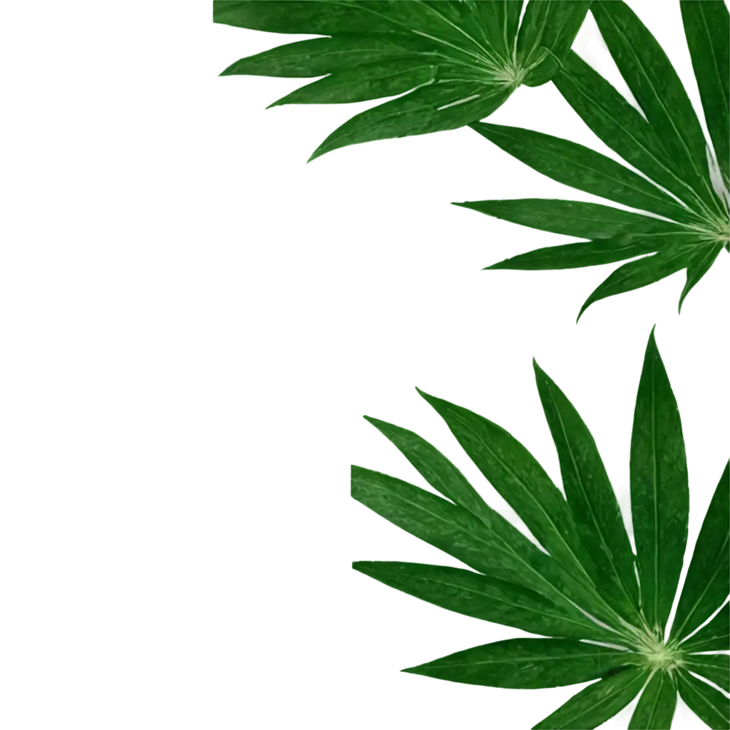 Green-Palm-Leaves-PNG-HighQuality-Transparent-Image-for-Various-Creative-Uses