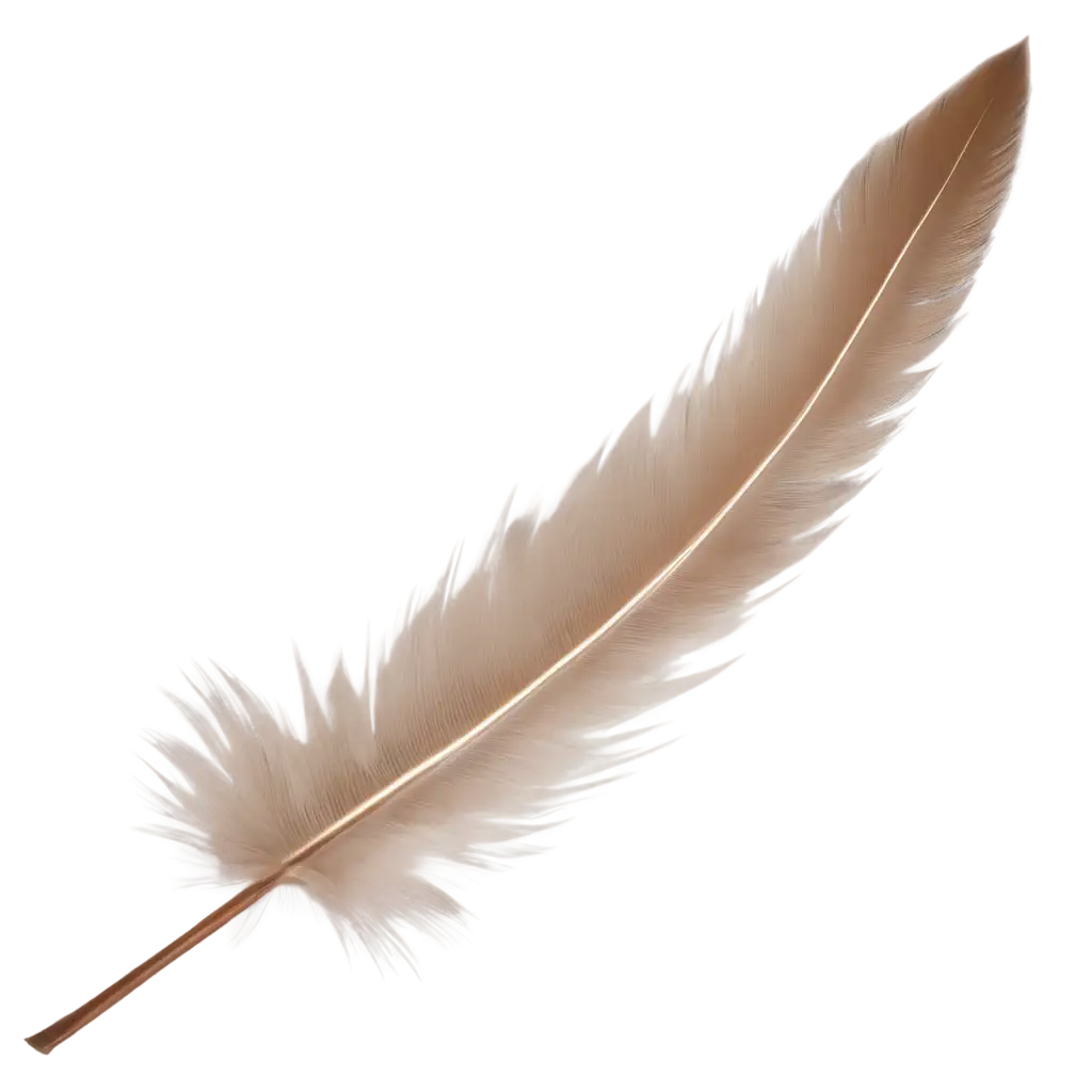 Dove-Feather-PNG-Image-HighQuality-and-Transparent-for-Versatile-Use