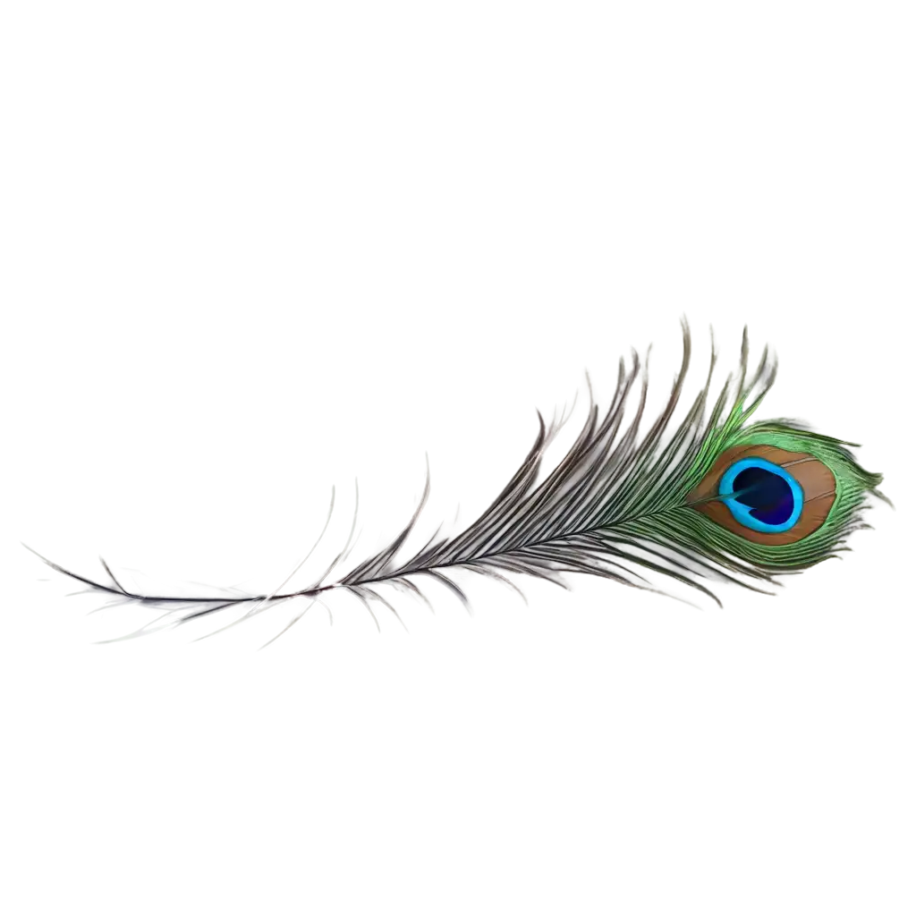 Vibrant-Peacock-Feather-PNG-Image-Captivating-Detail-and-Clarity