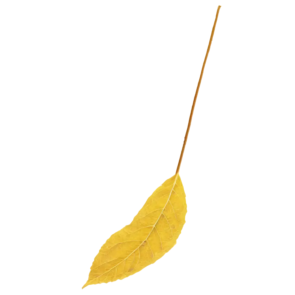 HighQuality-Yellow-Leaf-PNG-Image-for-Versatile-Digital-Use