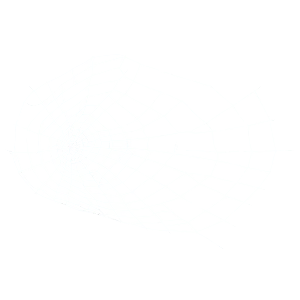 big web