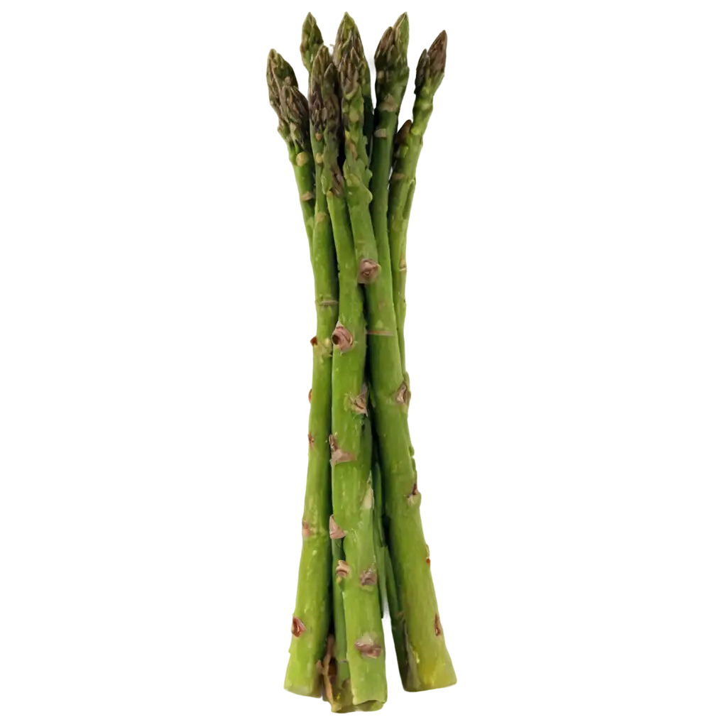 HighQuality-Asparagus-PNG-Image-for-Versatile-Creative-Uses