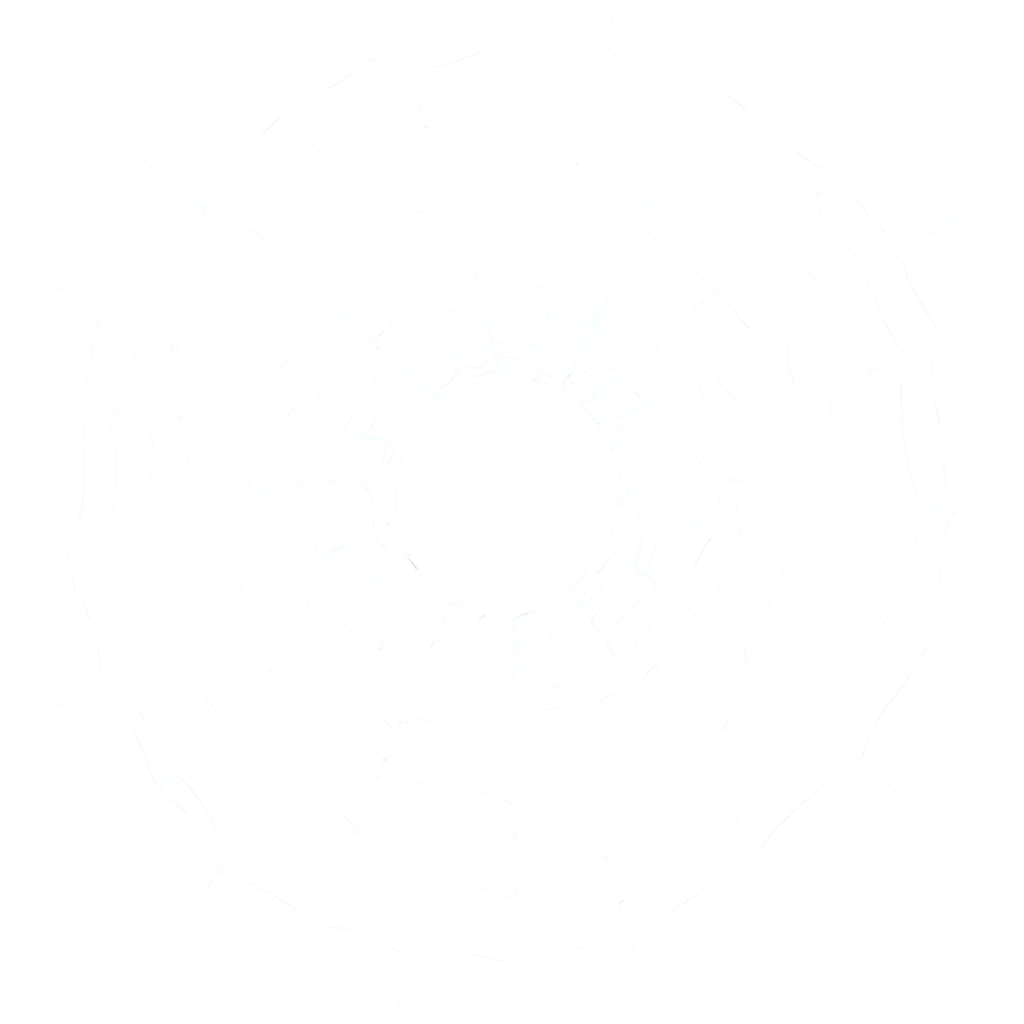 HighQuality-PNG-Image-of-a-Spiders-Web-for-Diverse-Applications